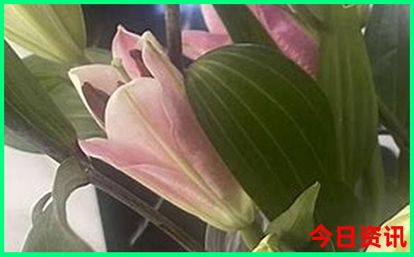 桂林两天一夜游玩攻略